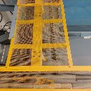 辛辛那提630卧加